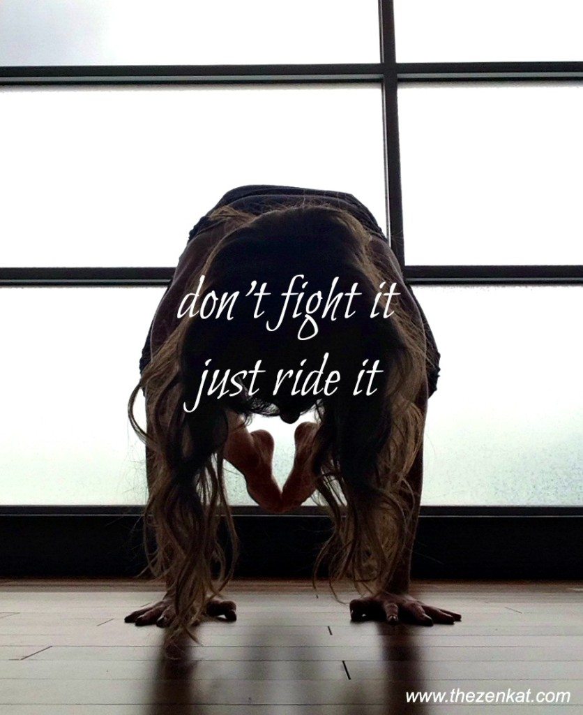 dont-fight-it-just-ride-it.jpg