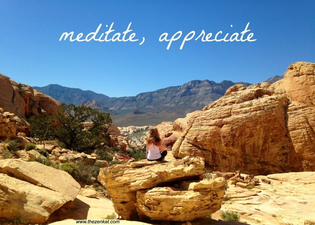 meditate-appreciate.jpg