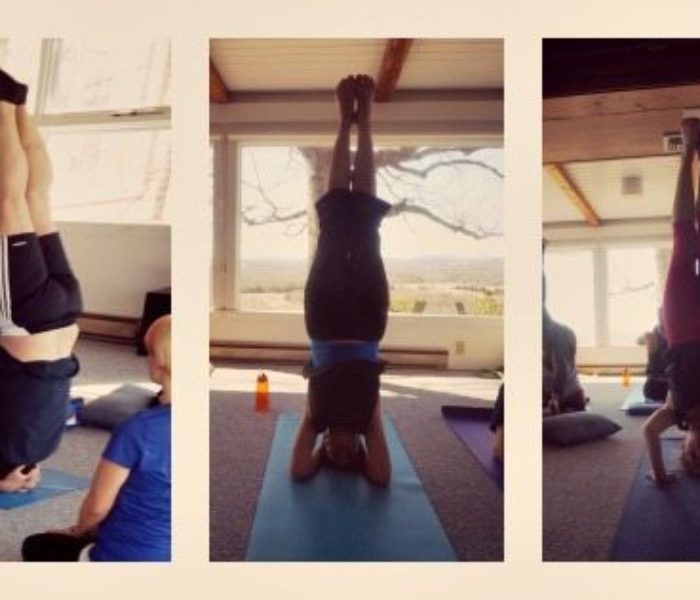 headstands-at-yogaville.jpg