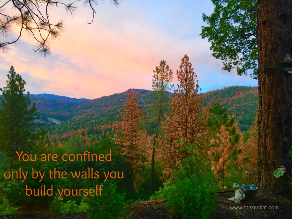 confined-walls-quote
